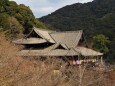 新春の奈良長谷寺