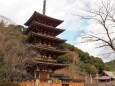 新春の奈良長谷寺