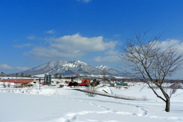 蒜山高原 雪景色5
