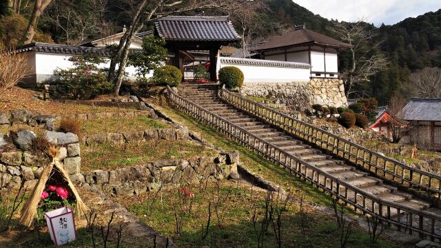 新春の奈良長谷寺