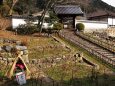 新春の奈良長谷寺