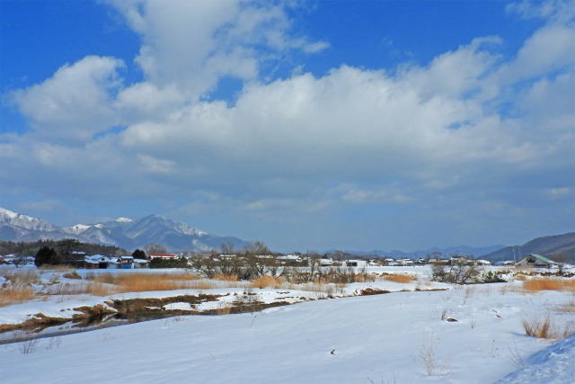 蒜山高原 雪景色6