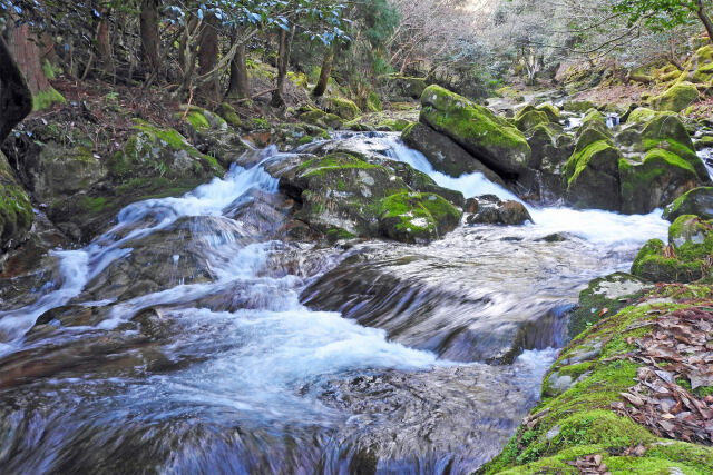 渓流 冬景色