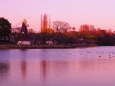 浮間公園の夕景