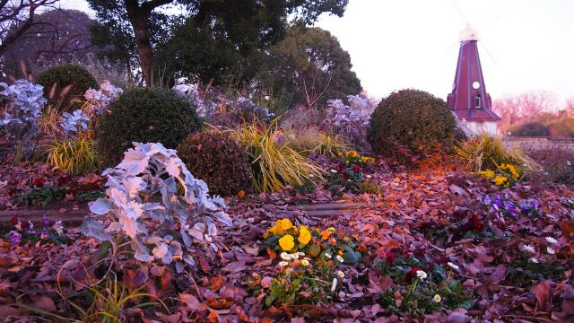 浮間公園の夕景