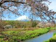 富士山