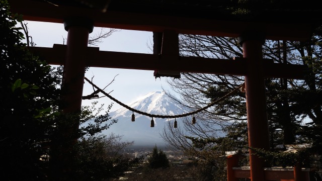 新春の新倉山浅間公園