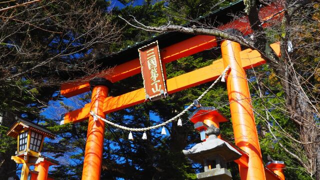 新春の新倉山浅間公園