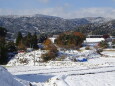 田舎の雪景色