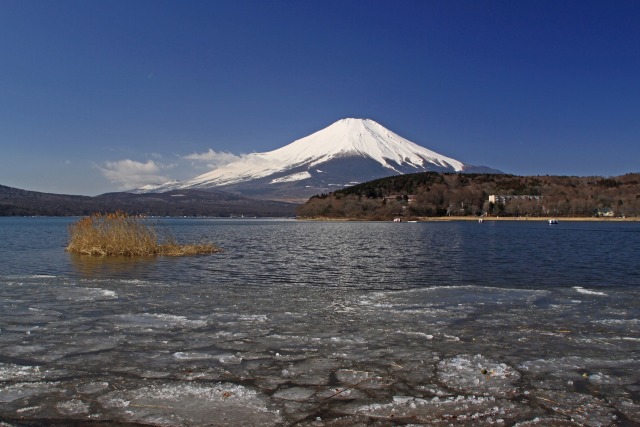 山中湖の富士