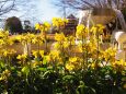 新春の船橋アンデルセン公園