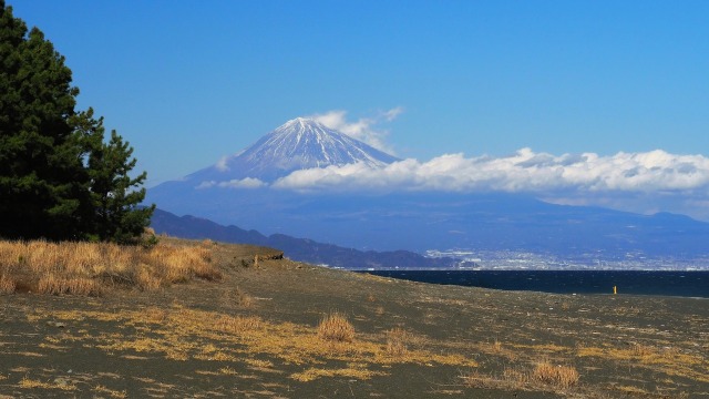 仲春の三保松原から望む富士山
