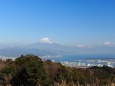 仲春の日本平から望む富士山