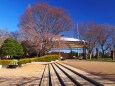 新春の船橋アンデルセン公園