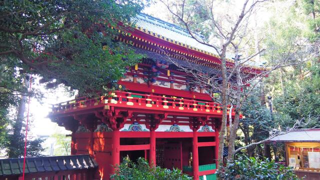 仲春の久能山東照宮