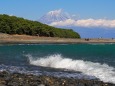 仲春の三保松原から望む富士山