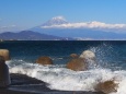 仲春の三保松原から望む富士山