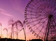 葛西臨海公園の夕景