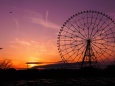 葛西臨海公園の夕景