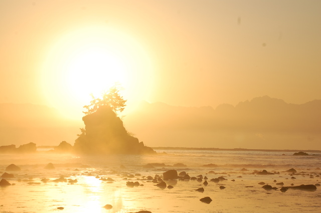 黄金の日々 2023年