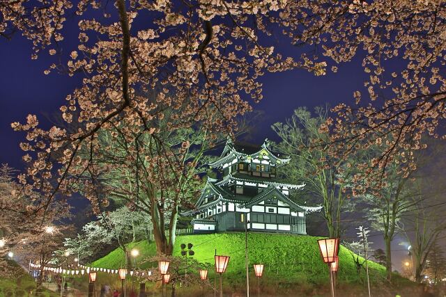 高田の夜桜