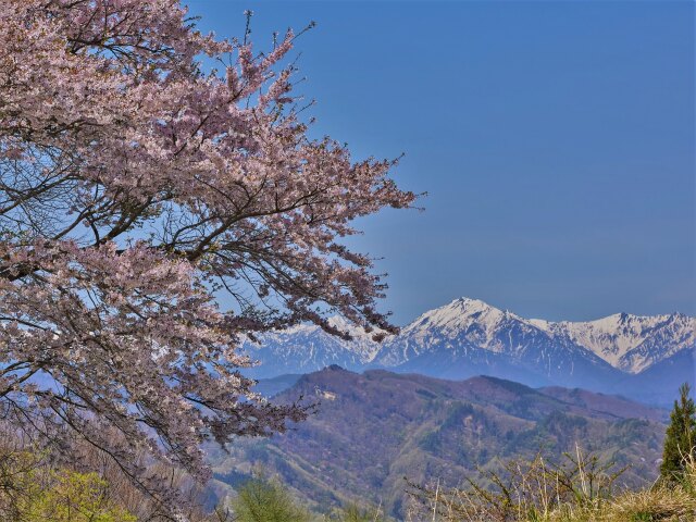 春のアルプス展望