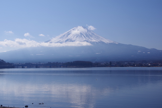 河口湖 北岸からの富士山