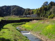 春の里山を流れる小川 