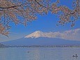 河口湖の富士