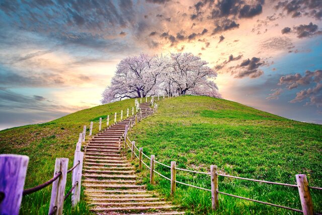 さきたま古墳公園