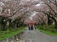 北上展勝地