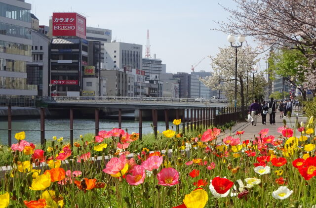 花咲く春の都会の川辺