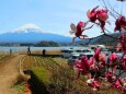 河口湖4月4日