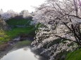 春の郡山城