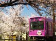 宇多野の桜と嵐電