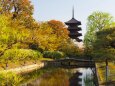 春の東寺