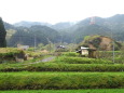 雨あがりの山村風景