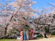 春の京都