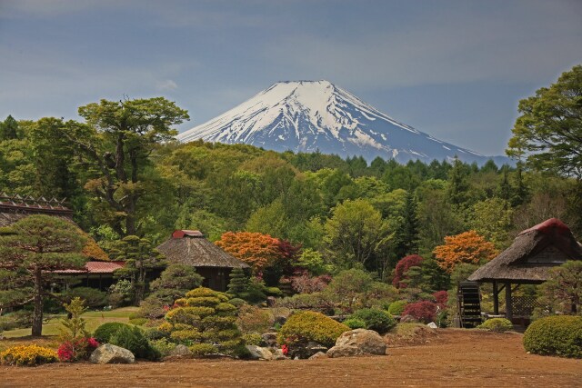 忍野の富士山