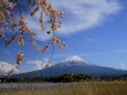 春の富士山