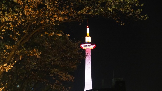 春の夜の京都タワー