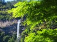 新緑の那智の滝