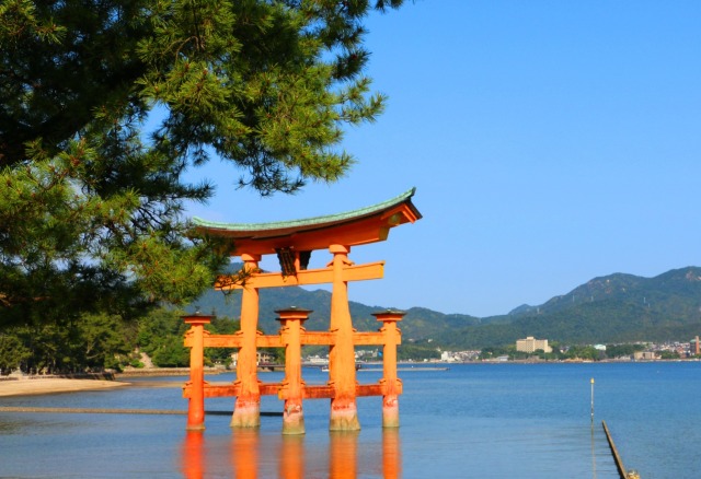 新緑の厳島神社