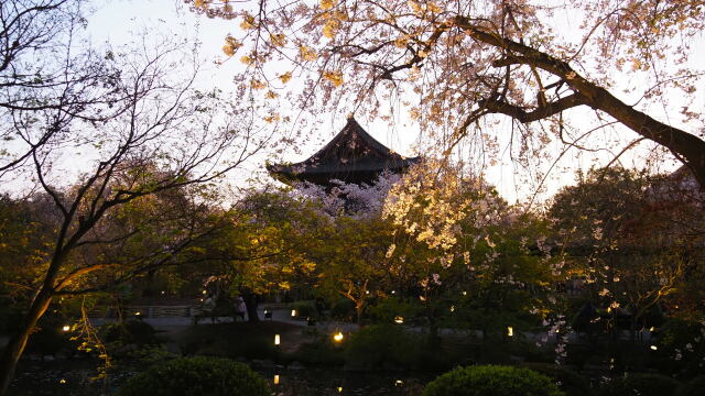 春の東寺