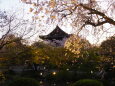 春の東寺