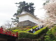 春の小田原城