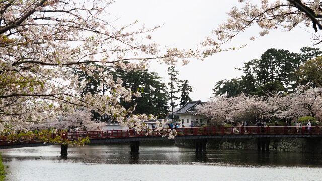 春の小田原城
