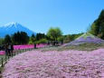 ダブル富士山