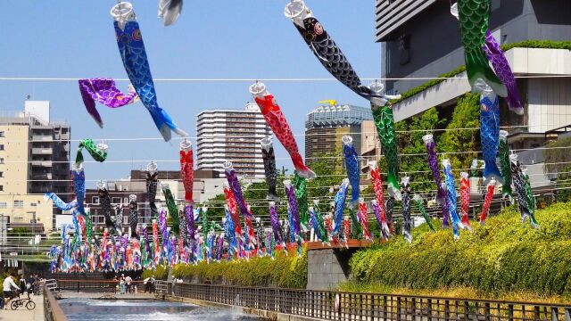 スカイツリータウンの鯉のぼり