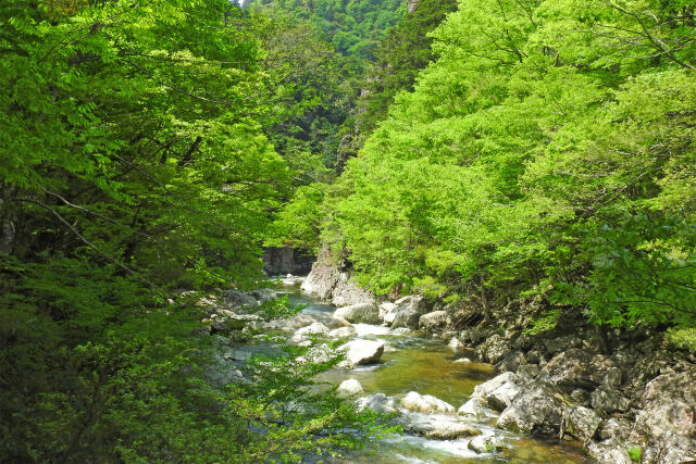 新緑の季節 7 三段峡